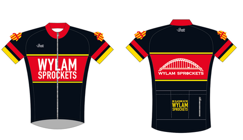 Wylam Payment link