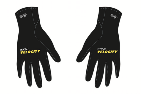 Winter Gloves